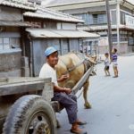 IslBG A fascinating movie was recently made about the relationship between an old Korean farmer and his ox