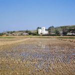 IslBG Two views of a classic Korean village           2/2